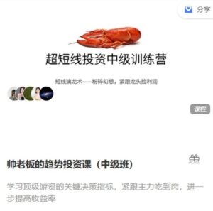 【帅老板】《帅老板的趋势投资课 中级班短线擒龙术训练营》网盘课程下载-爱雅微课