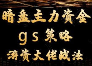 【龙门大师兄】《平民翻身暗盘主力资金 gs策略方法 游资大佬战法教学视频》网盘课程下载-爱雅微课