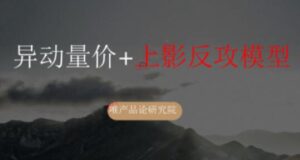 【老樊研究院】《老樊研究院0302异动量价+上影反攻模型》网盘课程下载-爱雅微课