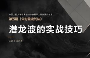 【量学大讲堂】《量势教室苏天发 分时量波战法》网盘课程下载-爱雅微课