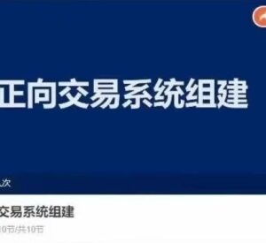 【交易伟】《交易伟 正向交易系统组建》网盘课程下载-爱雅微课