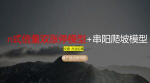 【老樊研究院】《老樊研究院n式倍量双涨停+串阳爬坡模型 1PDF文章》网盘课程下载-爱雅微课