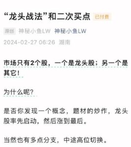 【神秘小鱼LW】《龙头战法和二次买点 1文档》网盘课程下载-爱雅微课