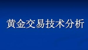 【外汇通】《外汇黄金交易技术视频教程讲解》网盘课程下载-爱雅微课