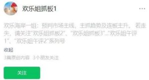 【欢乐姐抓板】《超短打板技法圈内体系课件 11文档》网盘课程下载-爱雅微课