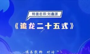 【刘鑫源】《德财院刘鑫源老师 追龙二十五式 系统课》网盘课程下载-爱雅微课