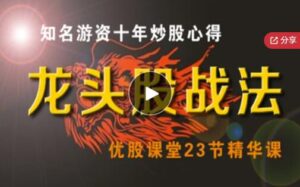 【半路扫板】《龙头股战法 (知名游资十年炒股心得)》网盘课程下载-爱雅微课