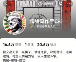 【情绪流C神】《圈内体系课件》网盘课程下载-爱雅微课