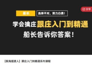 【股海摆渡人】《跟庄入门到精通系列课程》网盘课程下载-爱雅微课