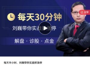 【刘巍】《每天半小时，刘巍带你实盘抓涨停》网盘课程下载-爱雅微课
