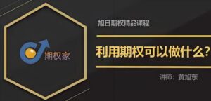 【黄旭东】《期权家黄旭东期权视频教程（3节）》网盘课程下载-爱雅微课
