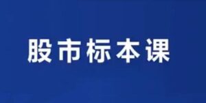 【小袁老师说财经】《小袁老师说财经-股市实战标本课》网盘课程下载-爱雅微课