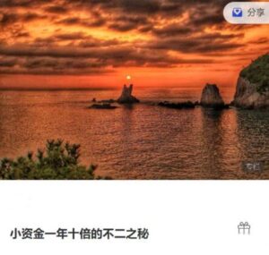 【精品课程】《小资金一年十倍的不二之秘 8文档》网盘课程下载-爱雅微课