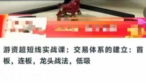【精品课程】《游资超短线实战课:交易体系的建立:首板,连板,龙头战法,低吸》网盘课程下载-爱雅微课