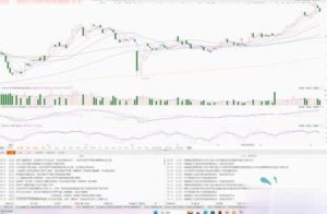 【沈淳】《沈淳20250809周末总结仓位管理关注点 1视频》网盘课程下载-爱雅微课
