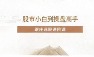 【投机大拿】《投机大拿 股市小白到操盘高手 跟庄选股进阶课》网盘课程下载-爱雅微课