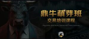 【鼎牛交易学社】《鼎牛交易学社 鼎牛萌芽班 Beginner Class交易培训课程Trading Hub 价格行为》网盘课程下载-爱雅微课