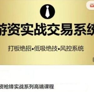 【枪锋】《游资枪锋实战系列高端课程 打板绝招低吸绝技风控系统》网盘课程下载-爱雅微课