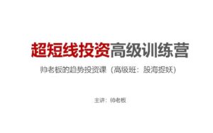 【帅老板】《帅老板的趋势投资课(高级班)超短线投资高级训练营股海捉妖》网盘课程下载-爱雅微课