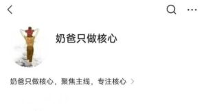 【奶爸只做核心】《圈内炒股体系教学视频课程》网盘课程下载-爱雅微课