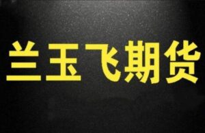 【兰玉飞】《兰玉飞 三节课学会期货趋势交易系统视频课程》网盘课程下载-爱雅微课