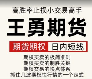 【王勇】《王勇期货期权日内短线培训课程 高胜率 止损小 交易高手》网盘课程下载-爱雅微课