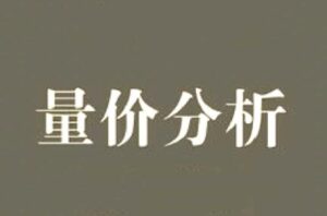 【量价合集】《量价关系量价分析成交量语言博弈量能K线成交量课程 19套合集》网盘课程下载-爱雅微课