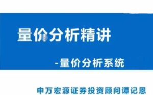 【谭记恩】《谭记恩 洞悉主力筹码量价之交易系统》网盘课程下载-爱雅微课