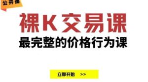 【TRADER K】《TRADER K|老K 裸K交易课价格行为交易思路策略公开课18节 成为合格的交易员》网盘课程下载-爱雅微课
