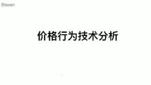 【Steven】《Steven 价格行为技术分析基本原理课24节》网盘课程下载-爱雅微课