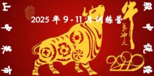 【山中策市】《山中策市股中说禅9-11月课程2025缠论课程》网盘课程下载-爱雅微课