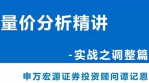 【谭记恩】《谭记恩量价分析系统第四期之实战调整篇》网盘课程下载-爱雅微课