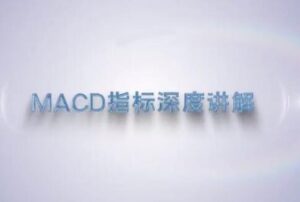 【谭记恩】《谭记恩技术指标精讲第三期MACD指标战法》网盘课程下载-爱雅微课