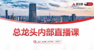 【杜光晓】《杜光晓 总龙头战法 2024年圈内教学》网盘课程下载-爱雅微课