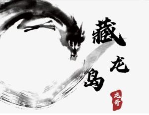 【游资混江龙】《游资混江龙/炼金士 2025年6月起游资训练营 龙哥高级训练营 视频+课件》网盘课程下载-爱雅微课