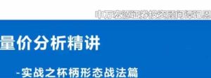 【谭记恩】《谭记恩量价分析系统之实战杯柄形态篇》网盘课程下载-爱雅微课