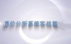 【谭记恩】《谭记恩量价分析之运筹帷幄篇》网盘课程下载-爱雅微课