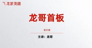 【龙哥】《飞龙游资团 龙哥首板密训课 首板战法》网盘课程下载-爱雅微课