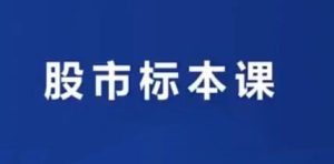 【小袁老师】《小袁老师说财经-股市实战标本课》网盘课程下载-爱雅微课