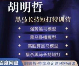 【胡明哲】《胡明哲-黑马长持短打特训营，长持短打交易模型》网盘课程下载-爱雅微课