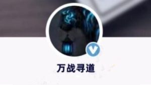 【万战寻道】《短线交易体系课》网盘课程下载-爱雅微课