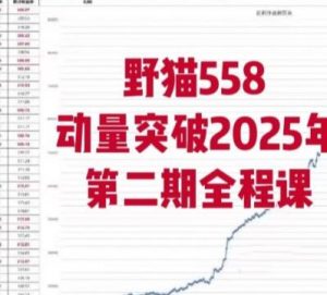 【野猫558】《野猫558动量突破2025年第二期全程课》网盘课程下载-爱雅微课