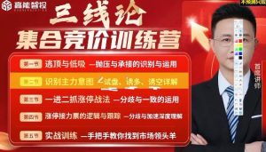 【唐银龙】《唐银龙(唐三线)三线论集合竞价训练营公开课》网盘课程下载-爱雅微课