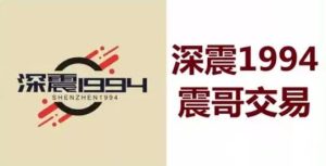 【深震1994】《震哥交易技巧5视频》网盘课程下载-爱雅微课