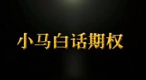 【小马】《小马白话期权 第4季》网盘课程下载-爱雅微课