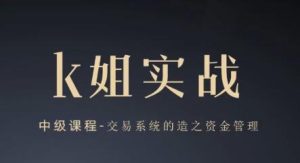 【K姐】《K姐三套课,K姐期货交易系统,裸K实战初级高级》网盘课程下载-爱雅微课