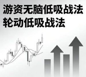 【精品课程】《游资无脑低吸战法 轮动低吸战法》网盘课程下载-爱雅微课