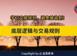 【韭菜煮海】《交易底层逻辑与交易规则 股市进阶必修课》网盘课程下载-爱雅微课
