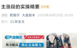 【大盘剧本】《20250820付费文 主涨段的实操精要》网盘课程下载-爱雅微课