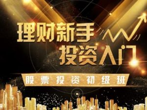 【玖算教育】《玖算教育（证券投资教育）理财/投资/股票/基金/新手入门/价值投资/股票投资初级班》网盘课程下载-爱雅微课